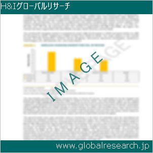 グローバルリサーチ調査レポートのイメージ